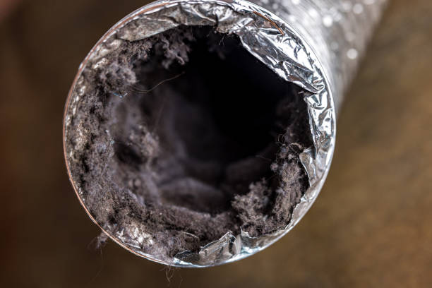 Best Professional Duct Cleaning Services  in Fairfax, VA