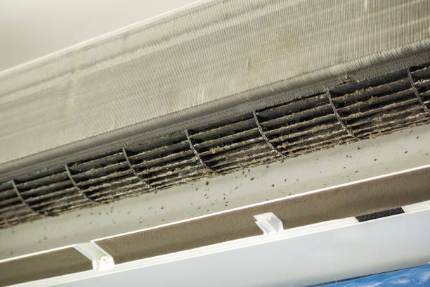 Best Duct Cleaning for Offices  in Fairfax, VA